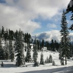 Clouds Above The Forrest