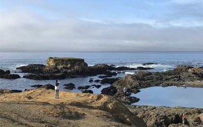 Mindful Activities to Jump Start Your New Year